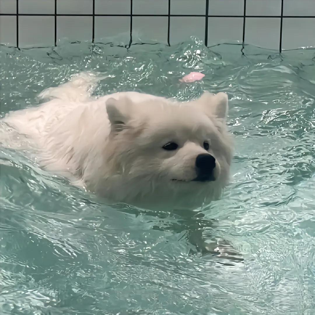 ☁️小怪