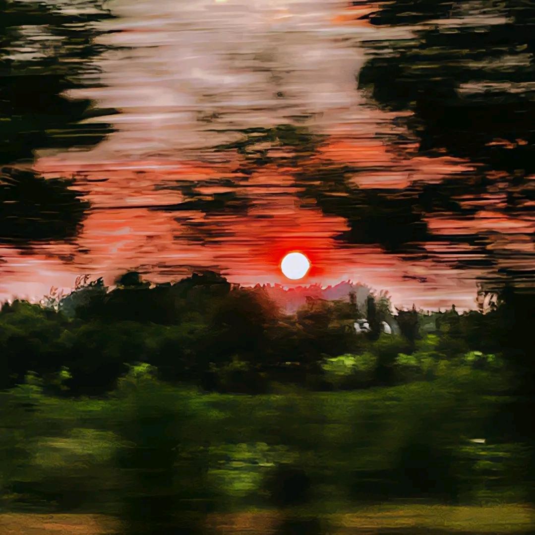 花花花