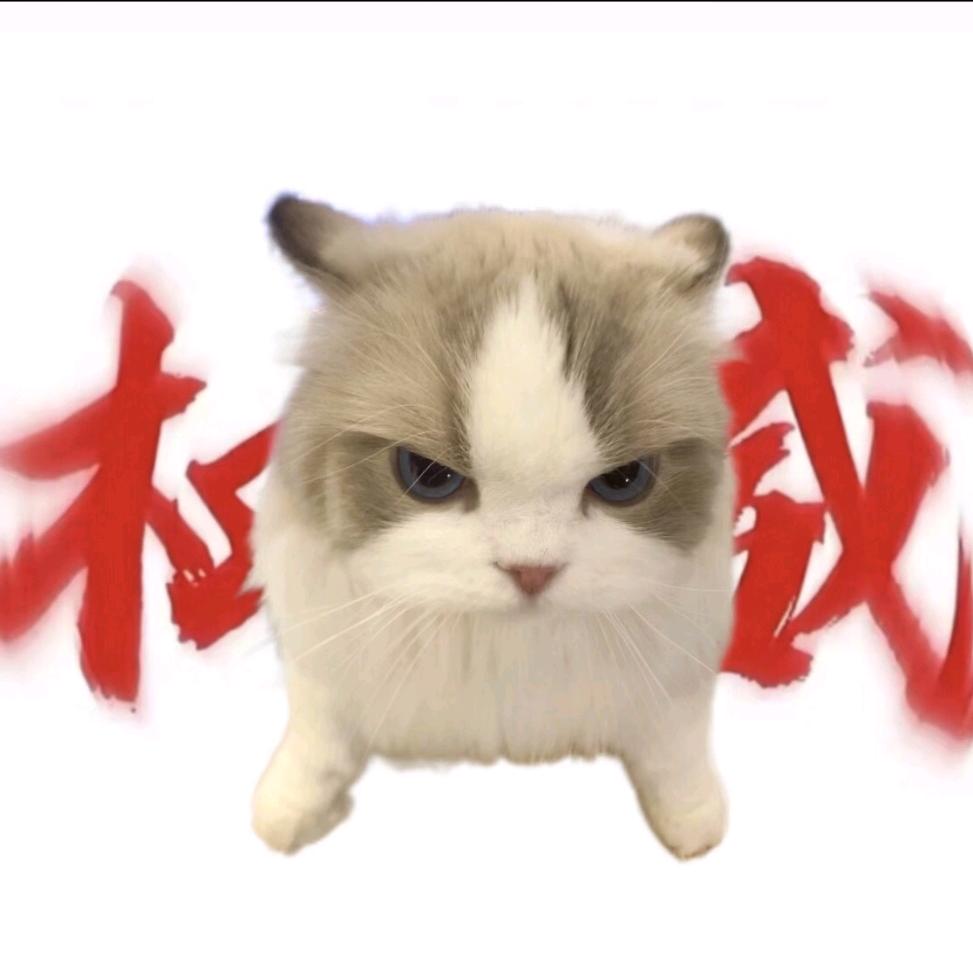 猫memeTV