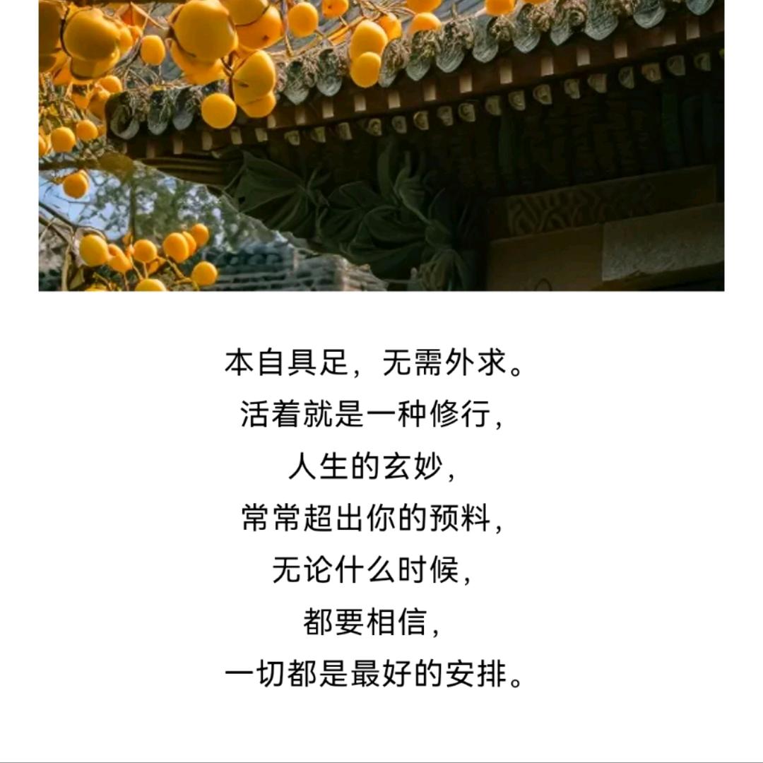 @君滋味—私人定制各种美食10年