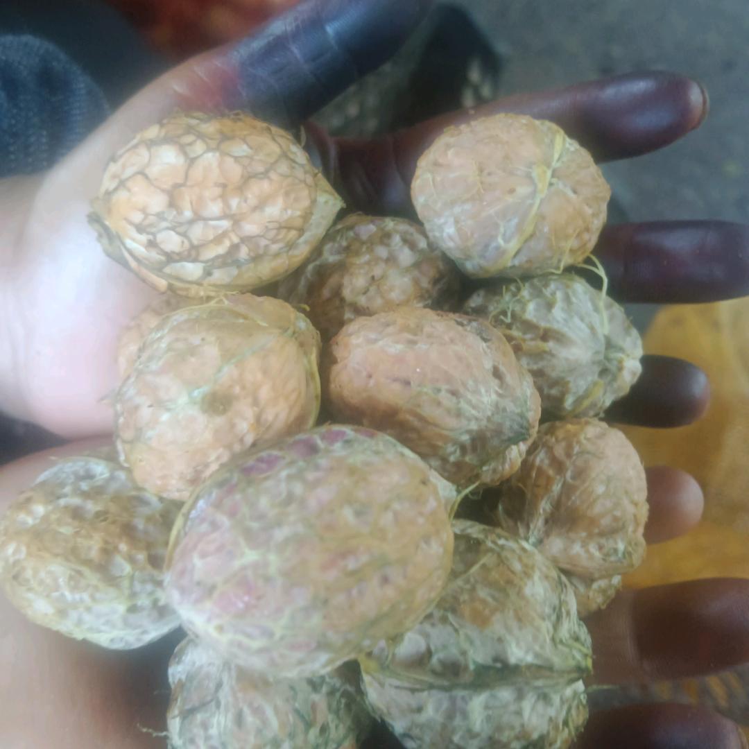 漾濞山货