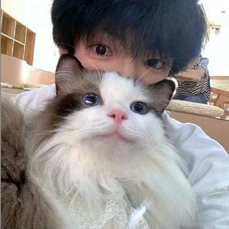 断联.