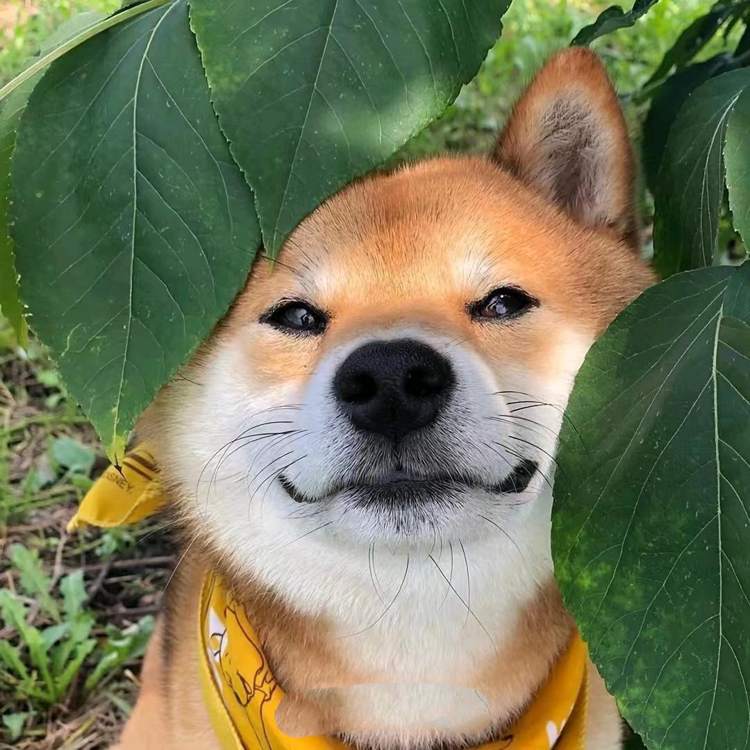 小虾米