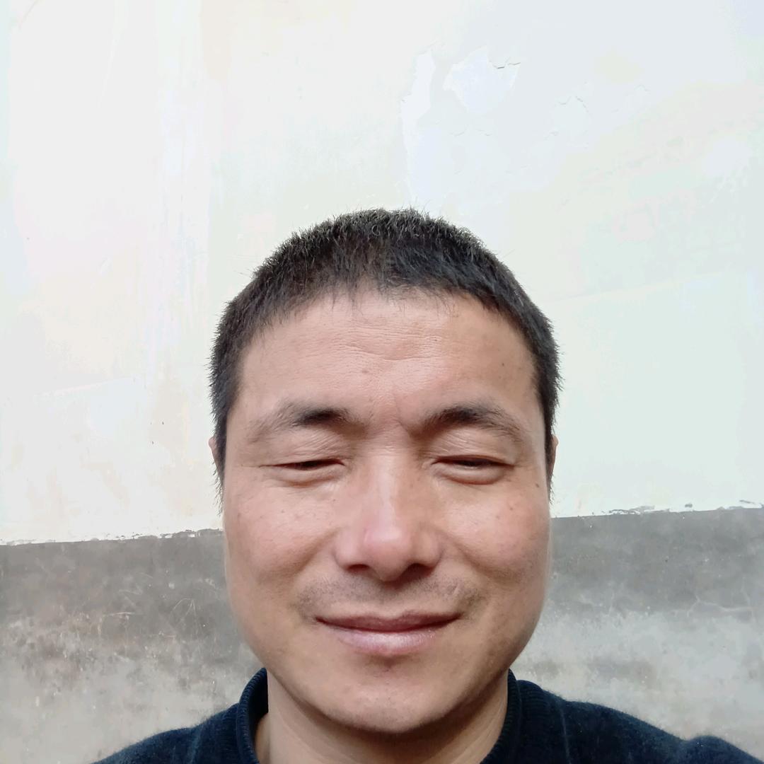 陈琳