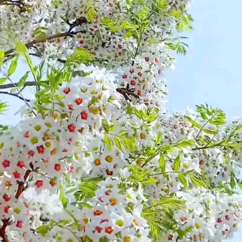 @离你很近