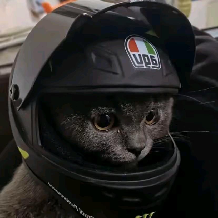 蹑影机车经营部（全新车）