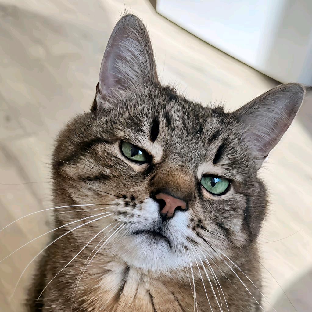 我给前男友当小妈被对象发现了