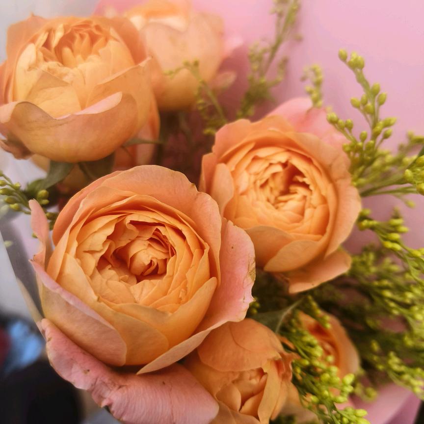 💞随遇而安💝