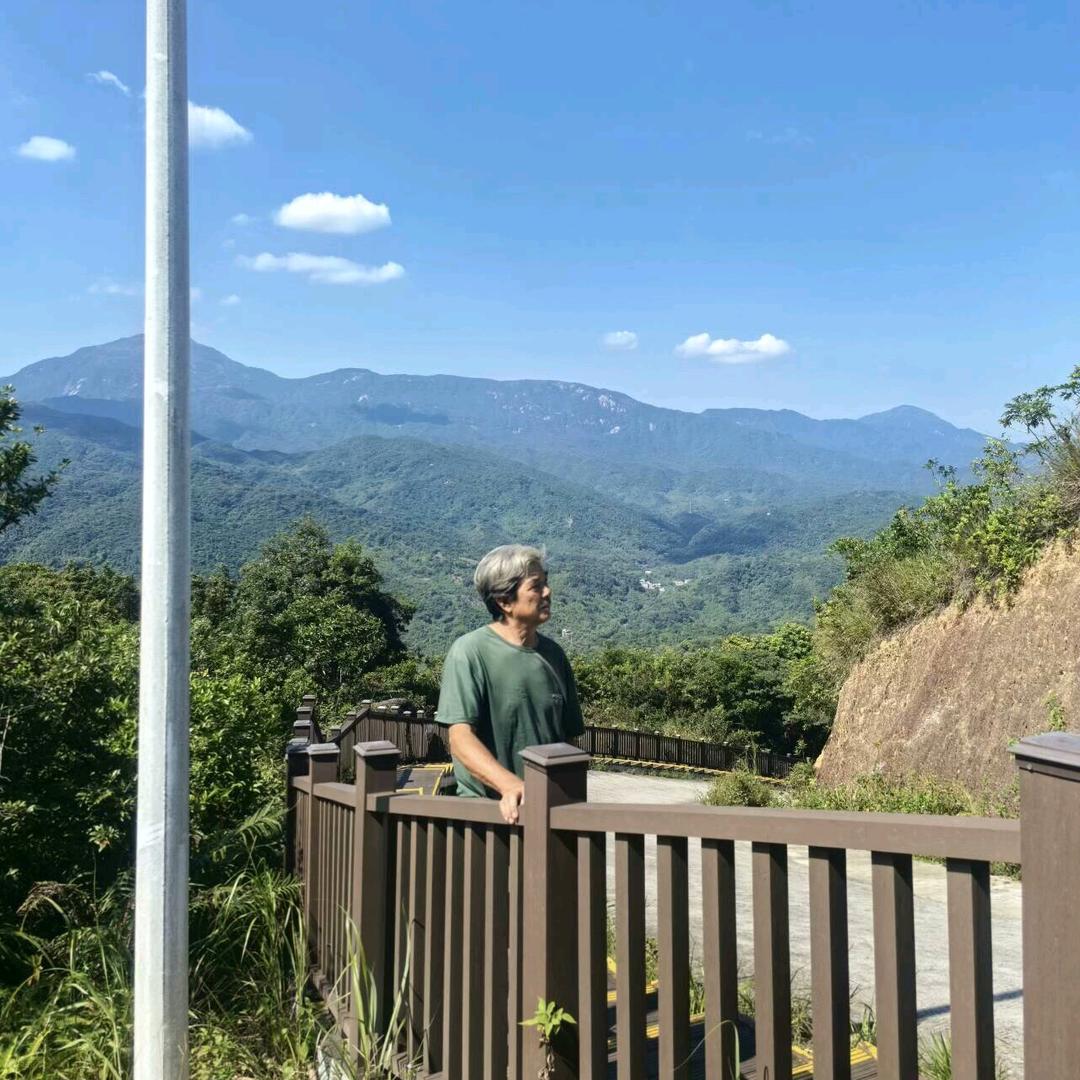 采山草的李清石