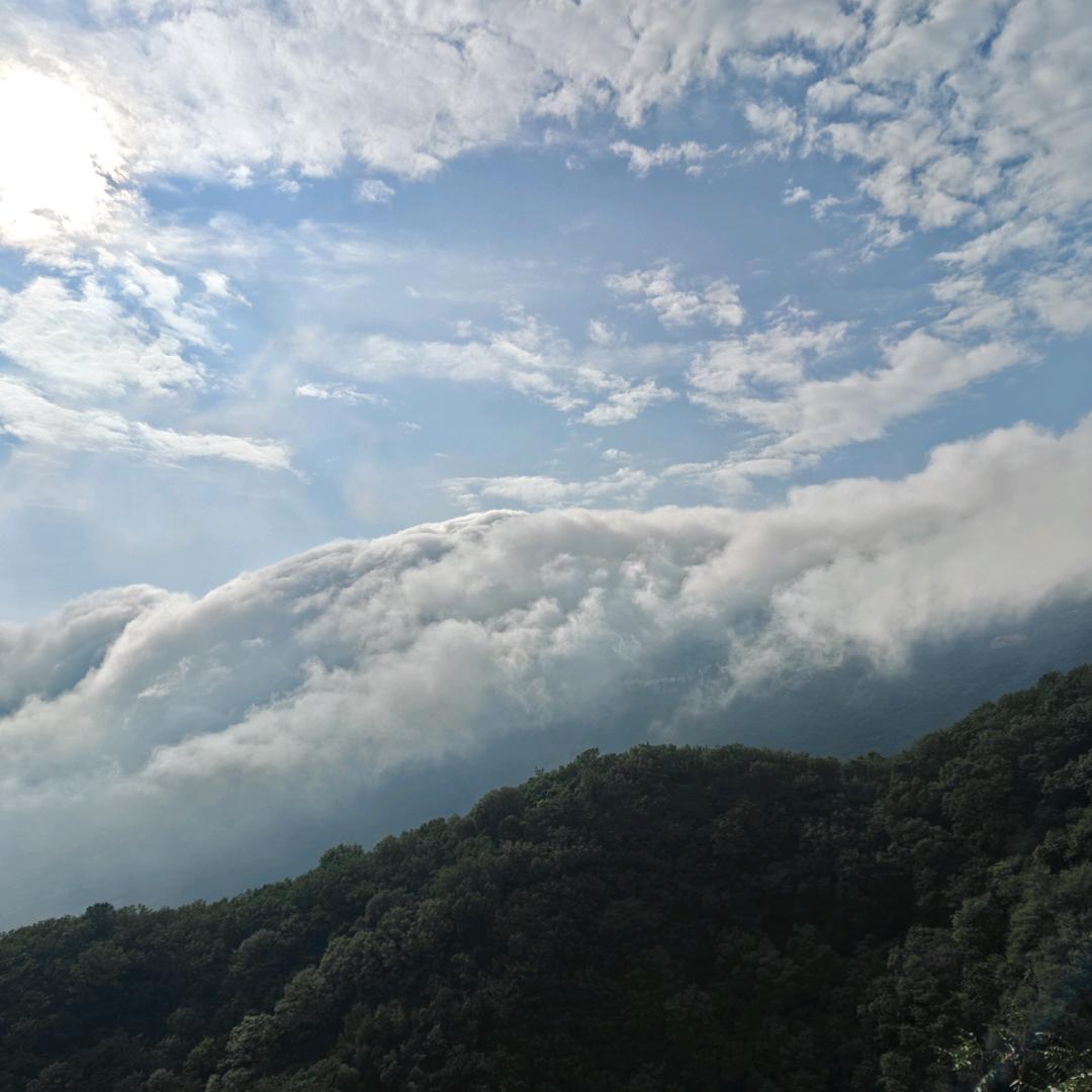 xingyangtuzh