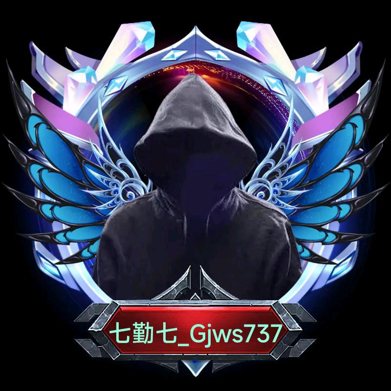 七勤七_Gjws737