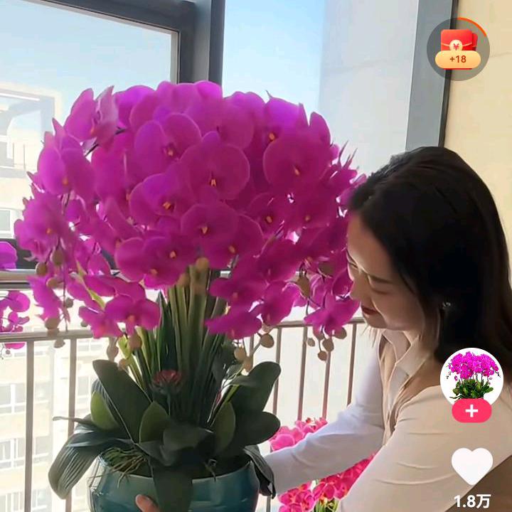 快乐如意