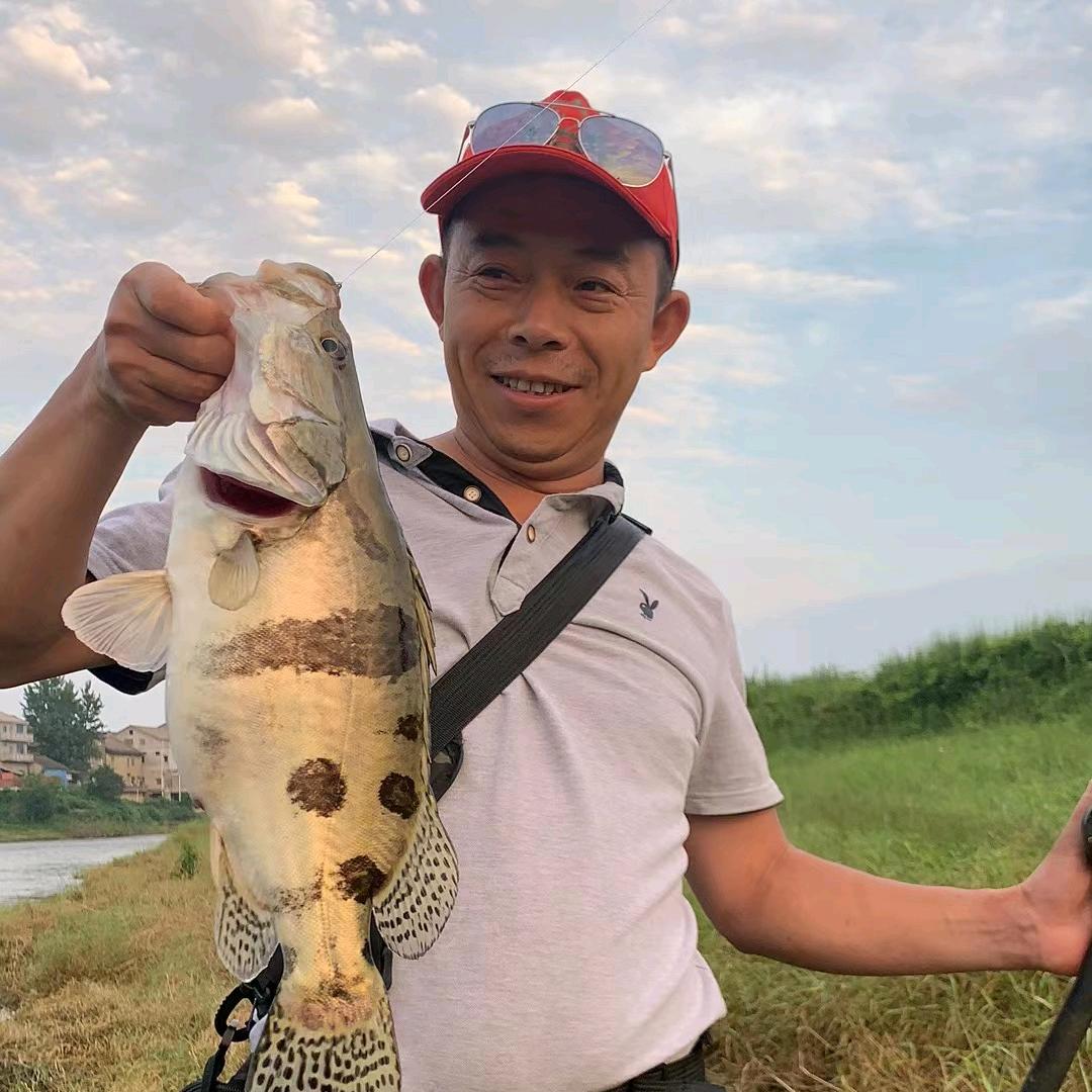 小马
