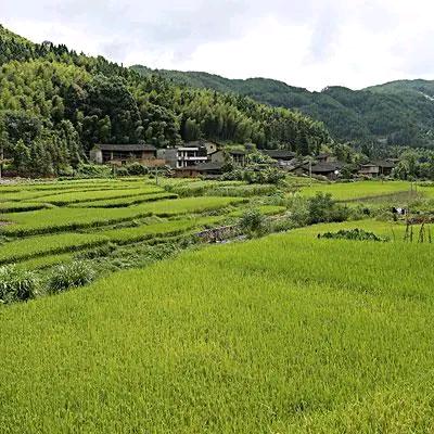 阿光的家乡