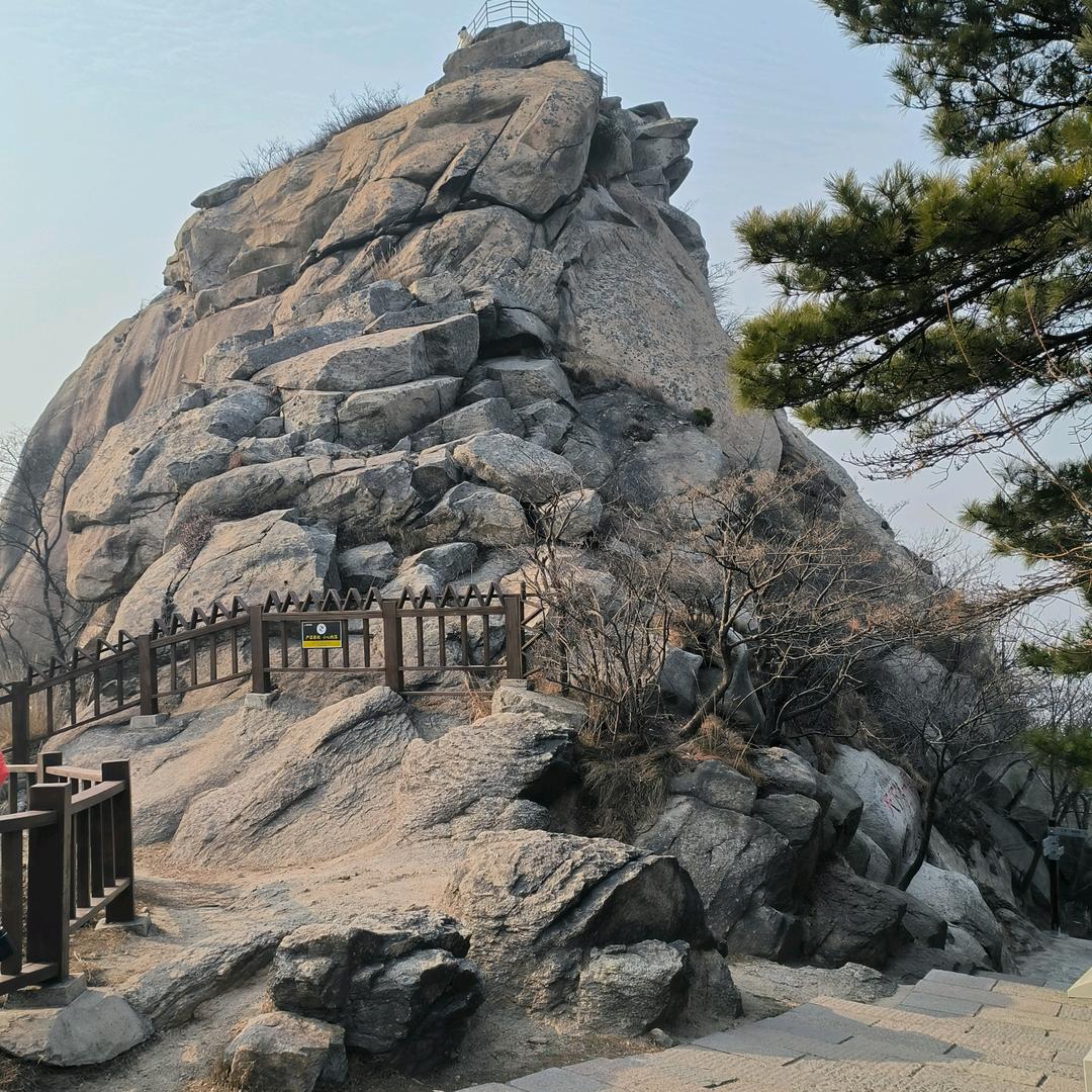 椰子百货