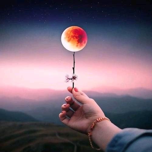 💫不过如此⚡️