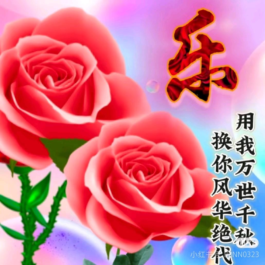 花开 富贵