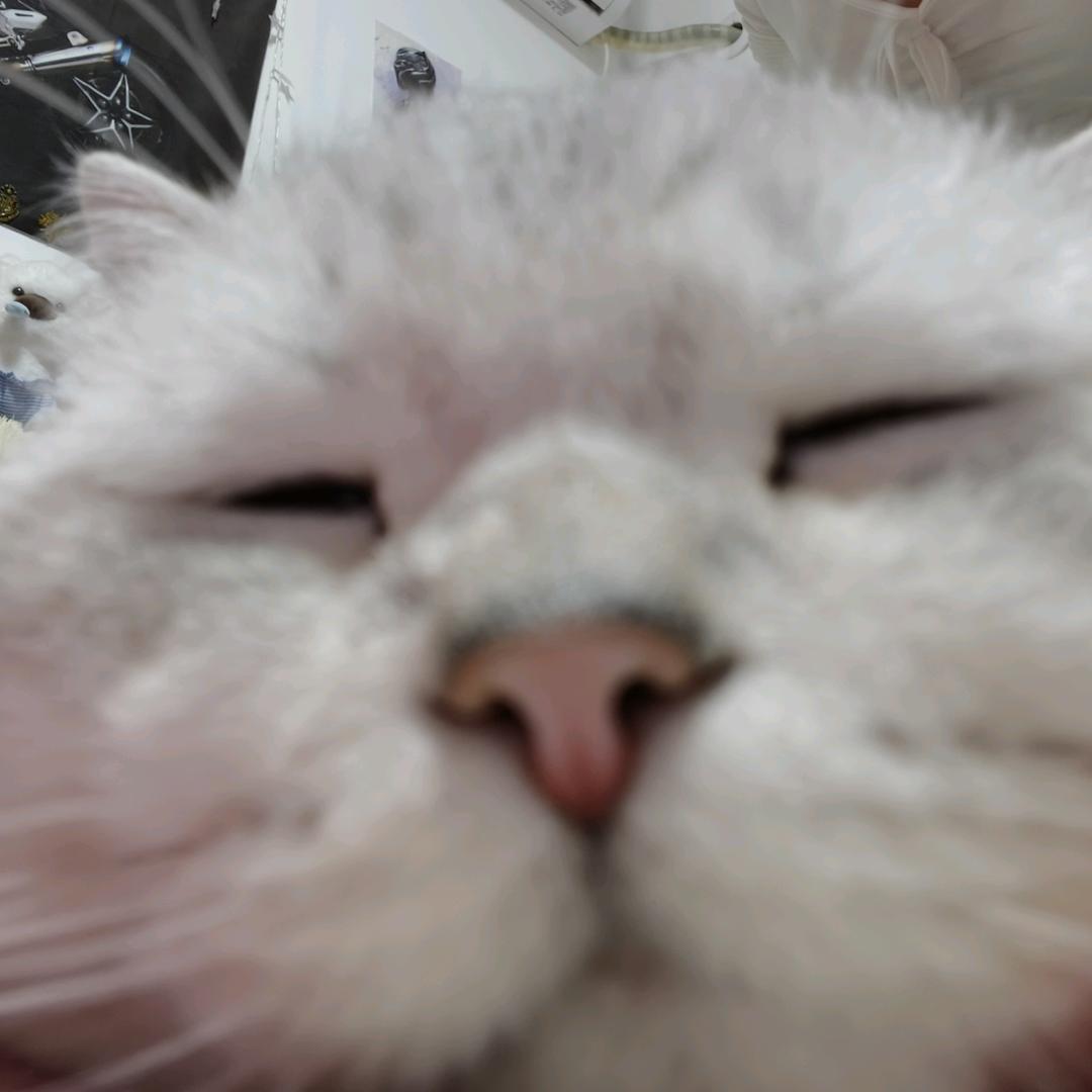 小唯的阿竹