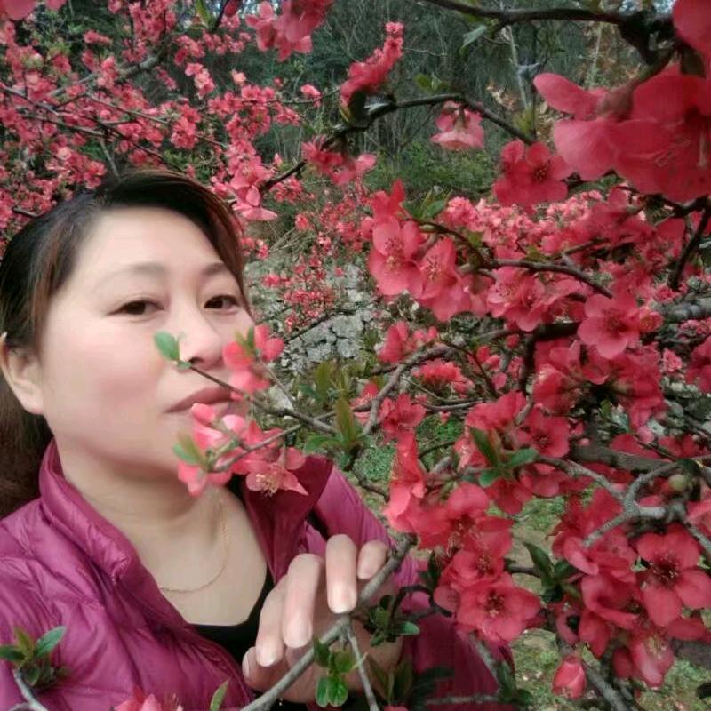 天边的云小张