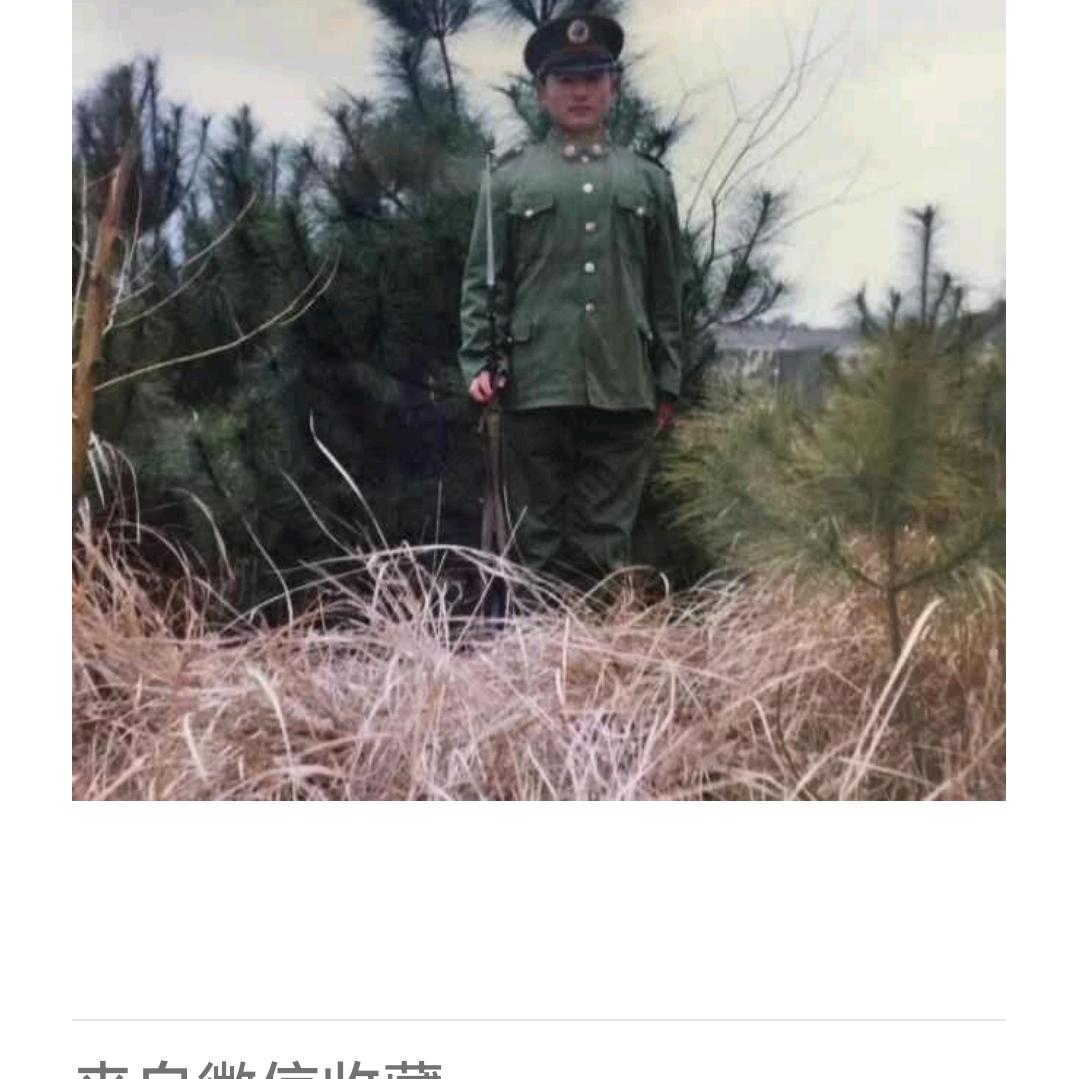 瑞丰