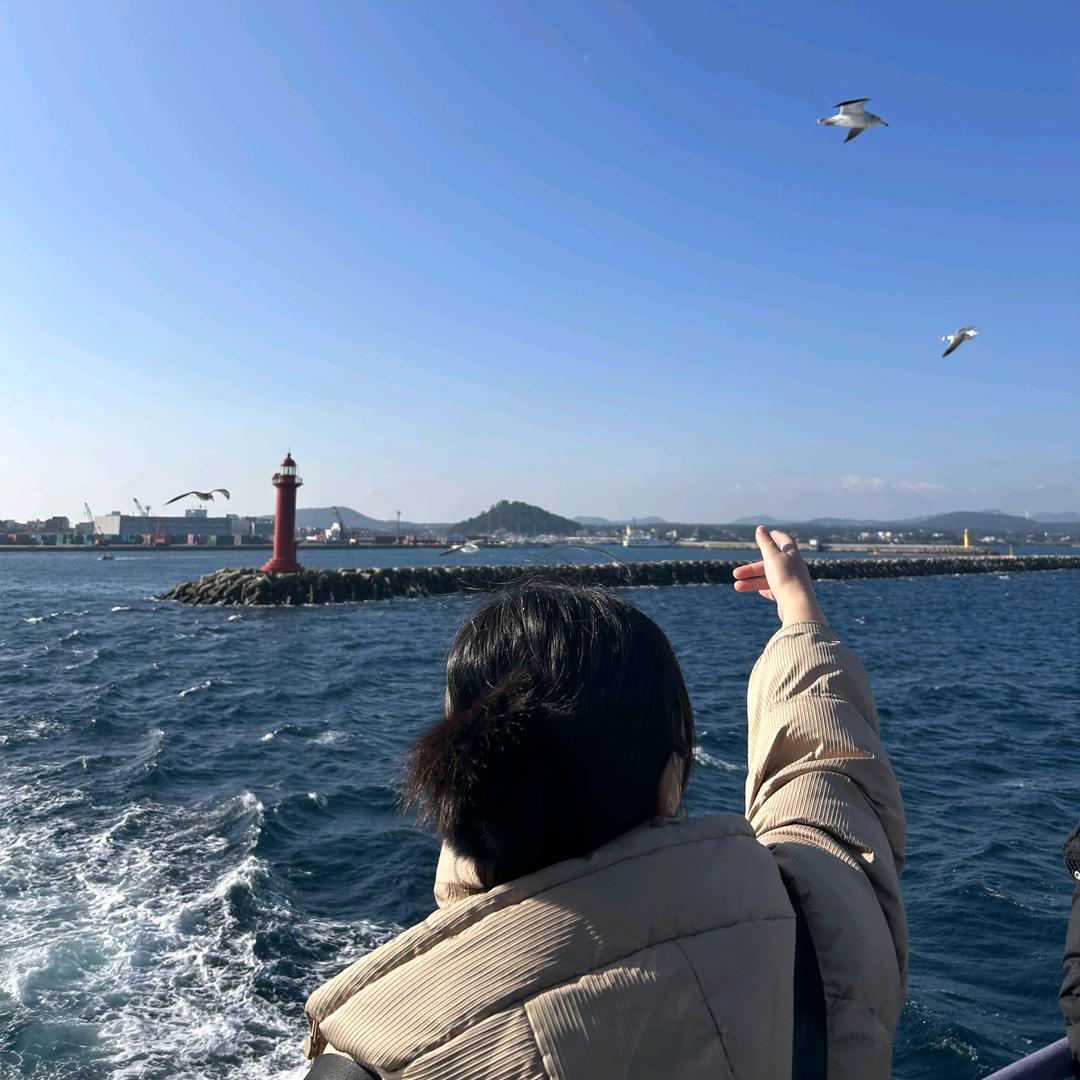 100🙅‍♀️全麦面包