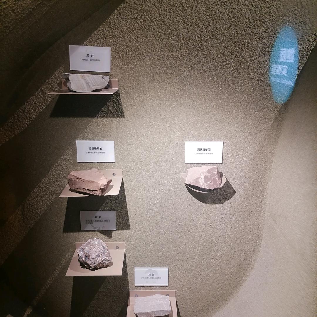 贝贝