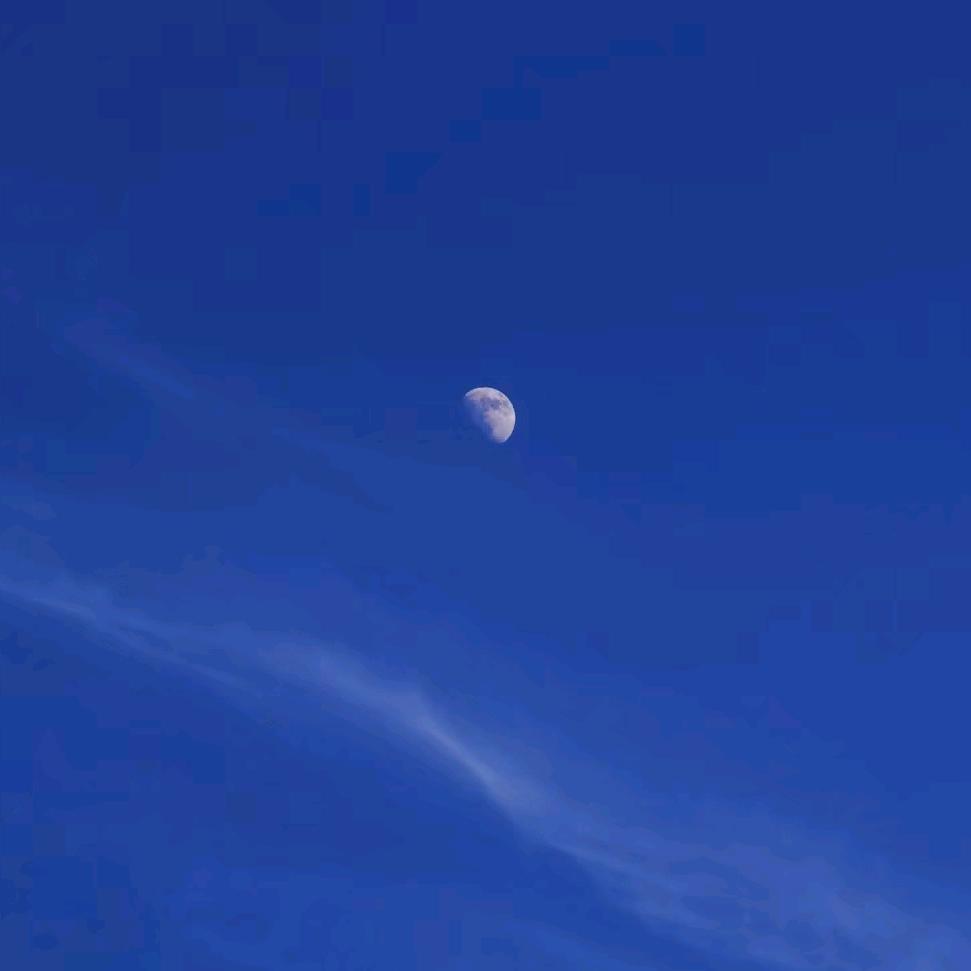 浮生