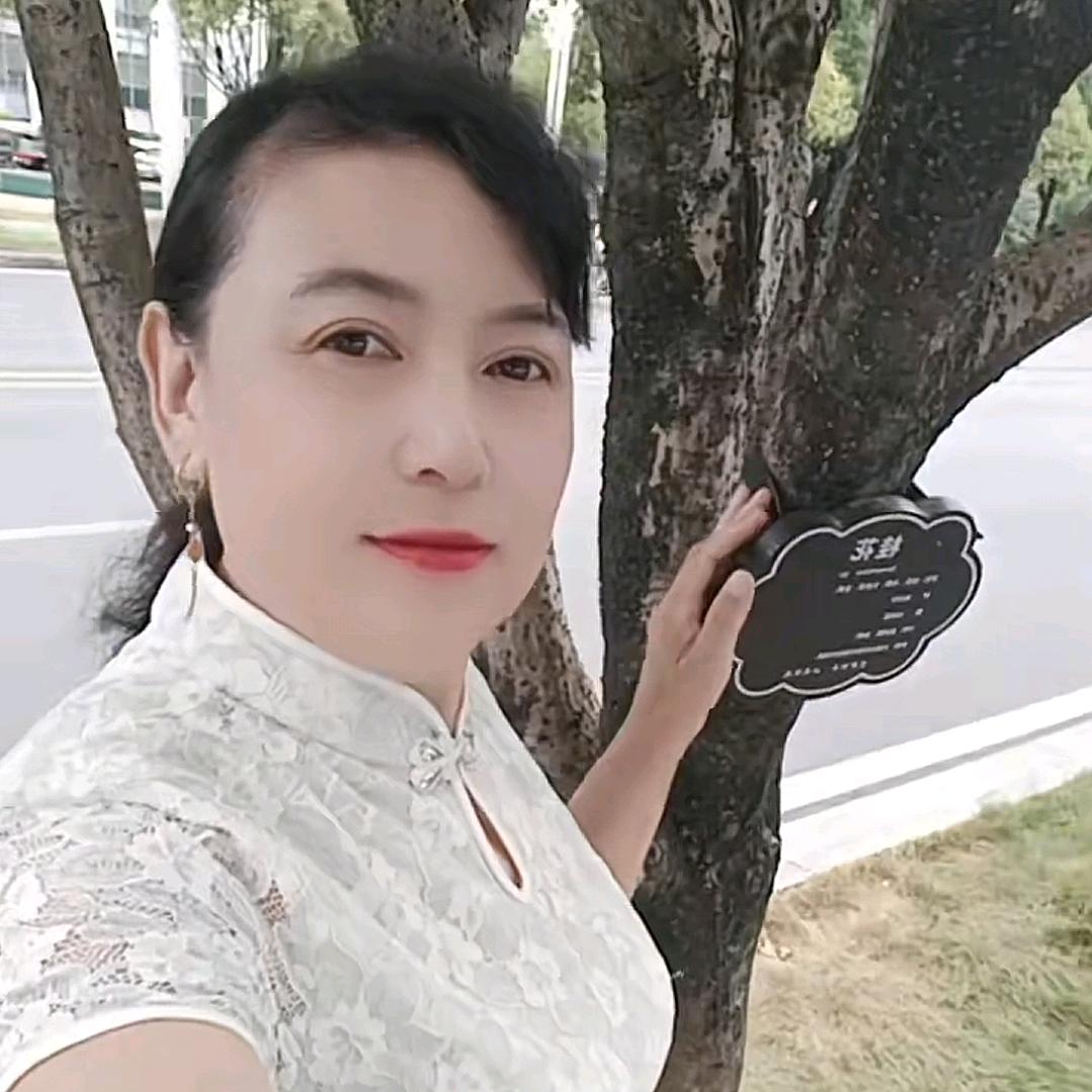 cgy来凤的士，陈大，156972618