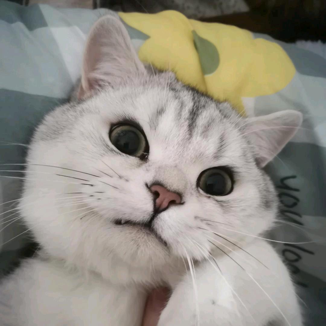千灯南亭