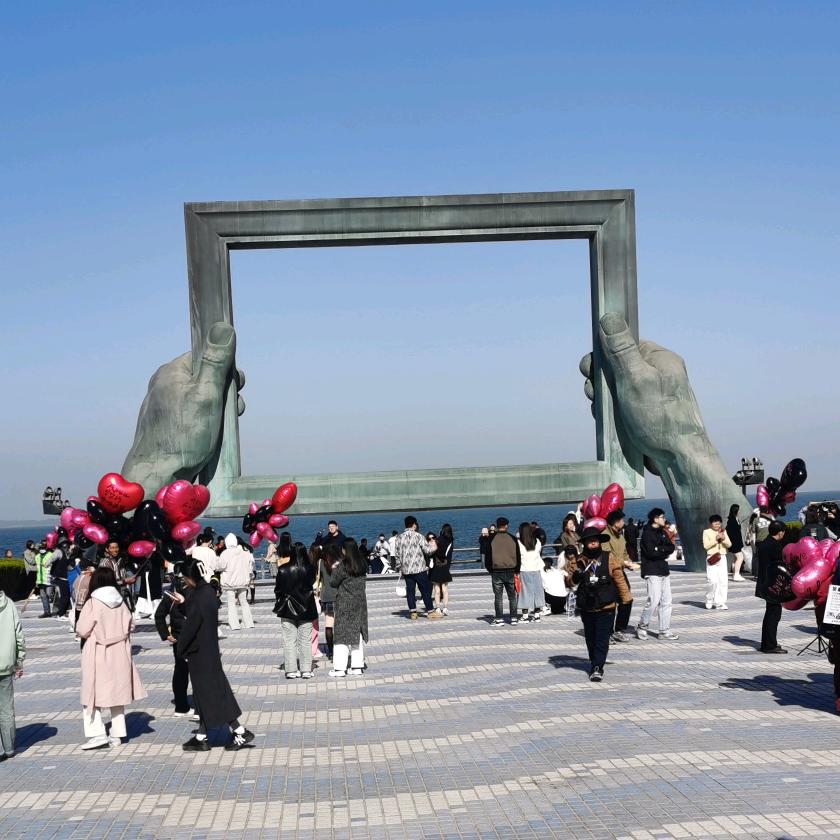 惠玩团队|小海鸥