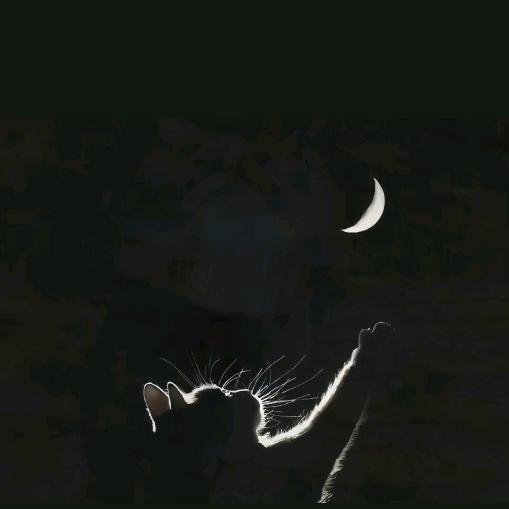 ꒰ঌ୧⍤⃝浊酒🍻