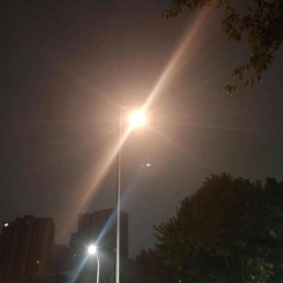 飞龙在天。