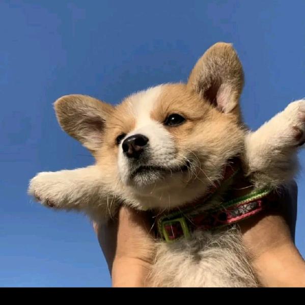 我又不乱来