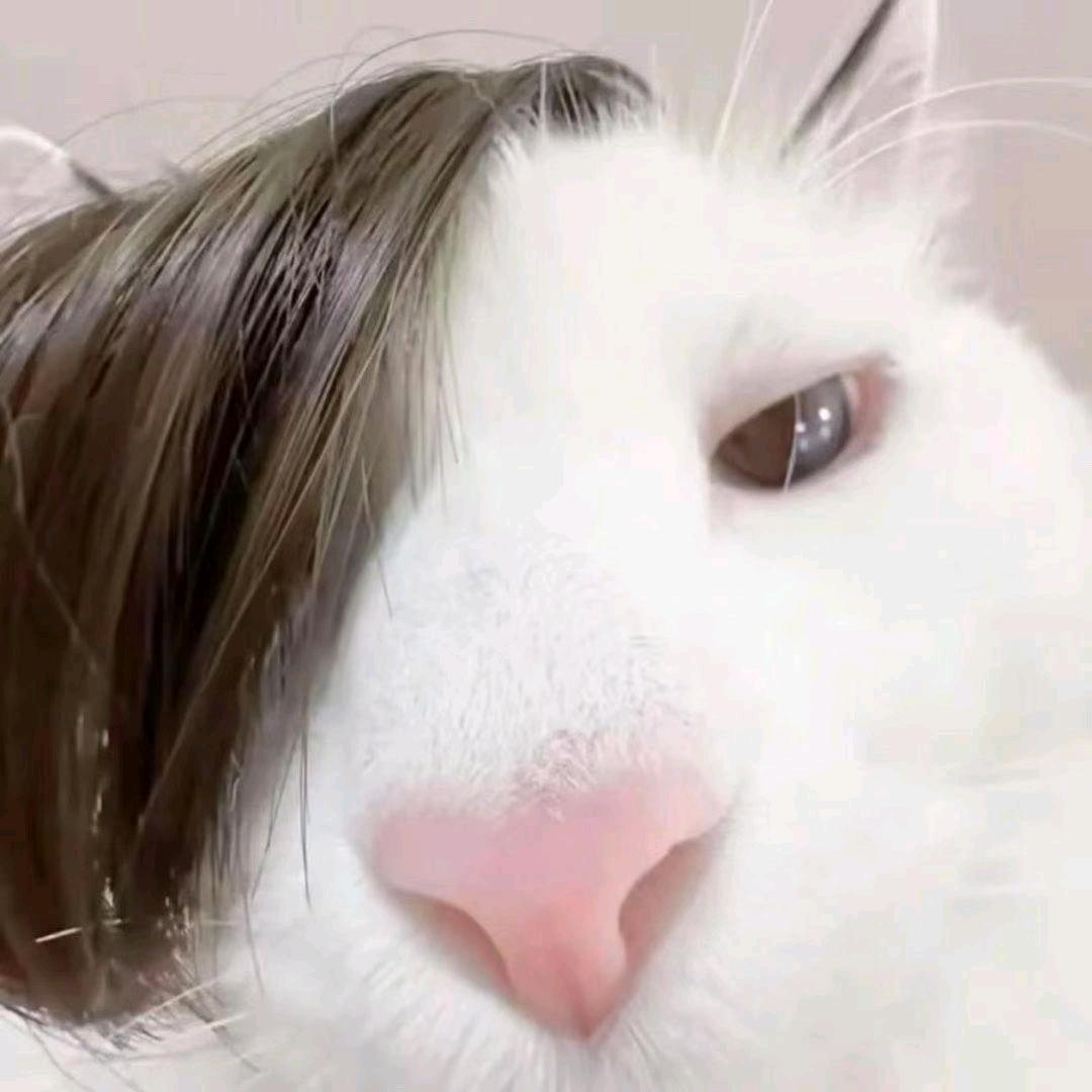 Loey