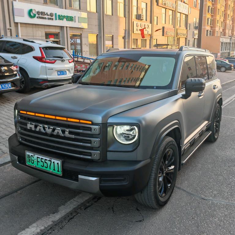 程校长的大灰龙