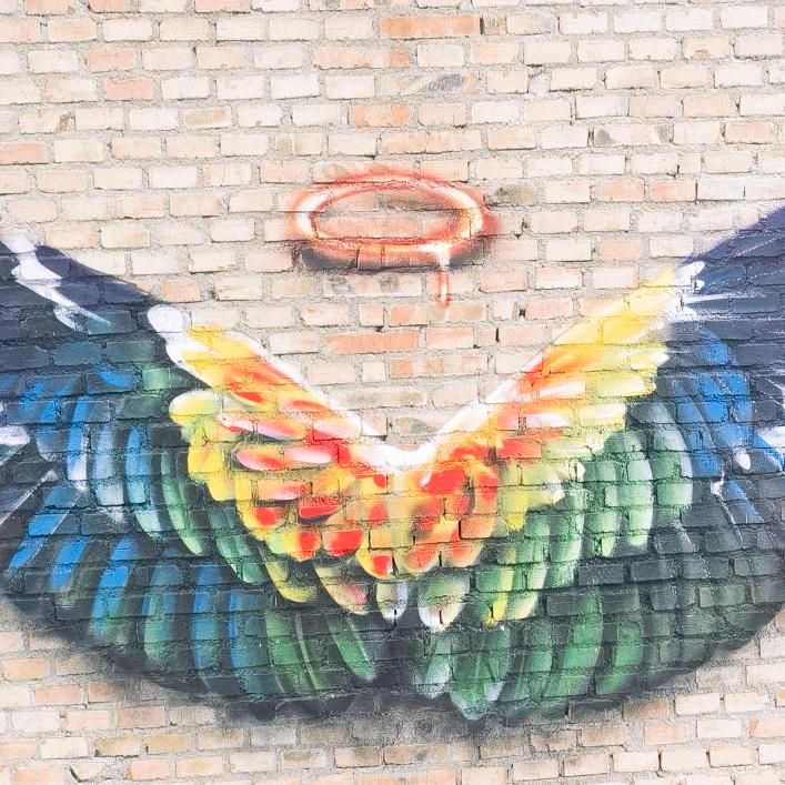 南京鹦鹉主理人