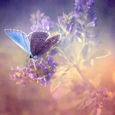 春暖花开丶