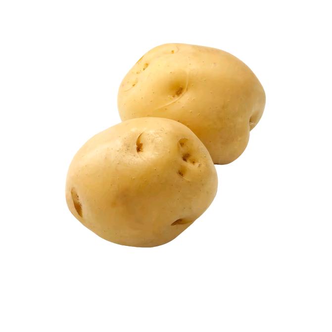 土豆主理人