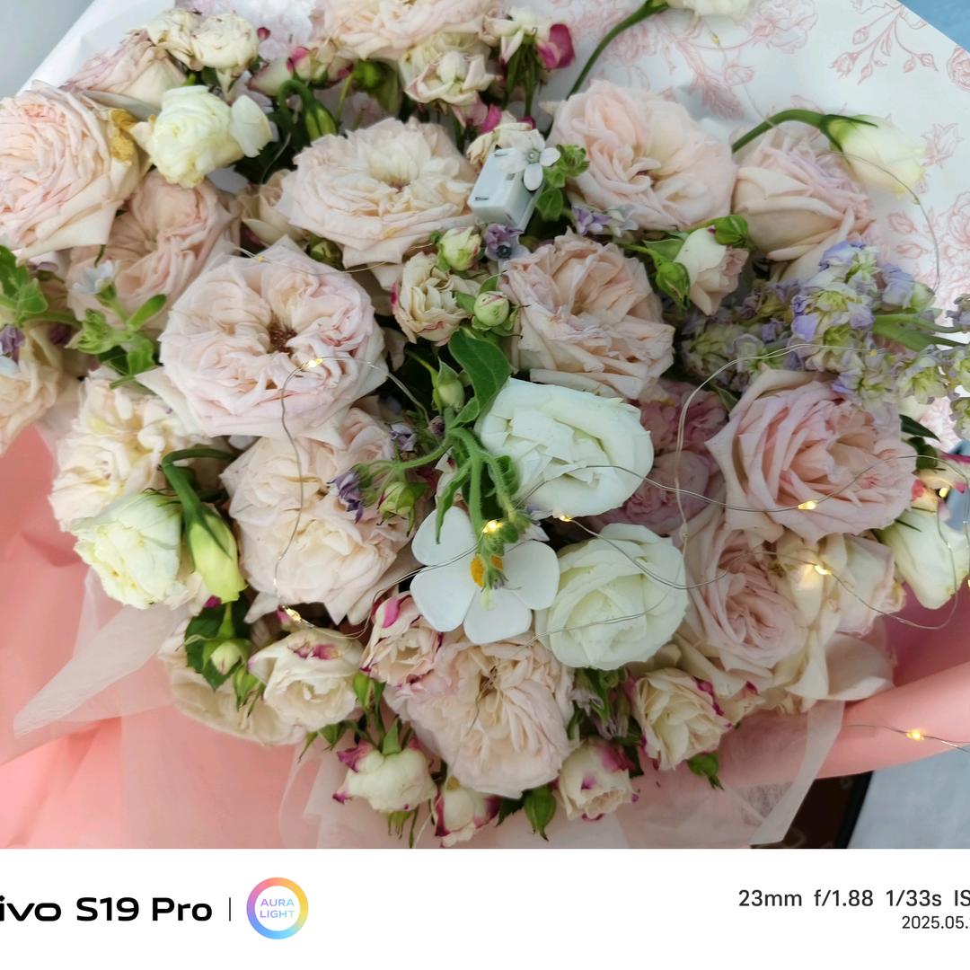 一个人，一座城，寻找有缘人