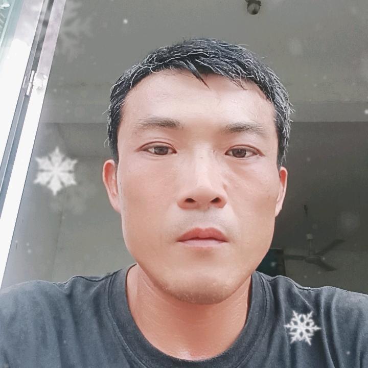 陶淘