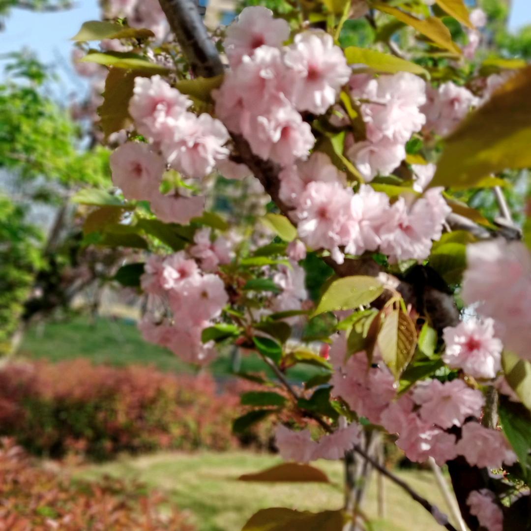 幸福快乐每一天