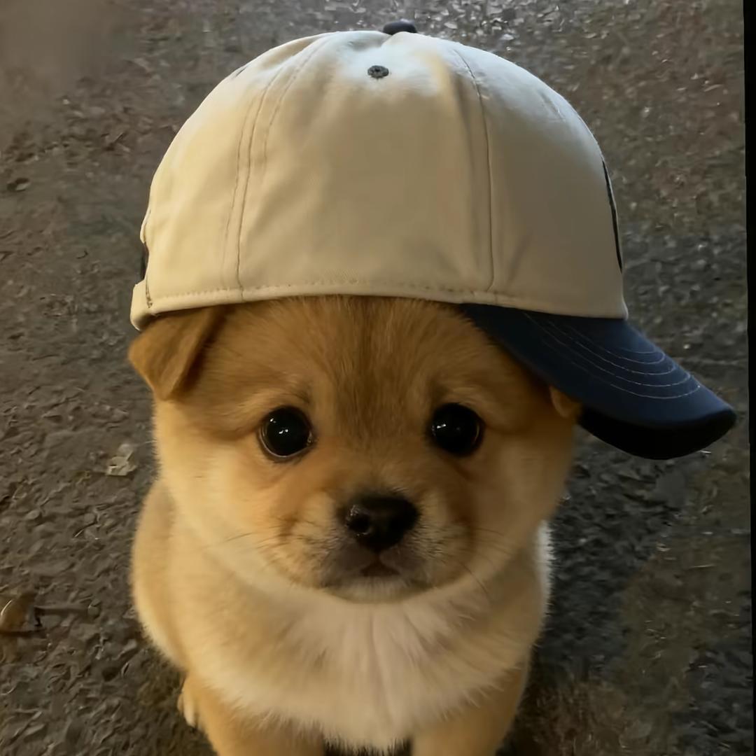 帽子歪歪戴