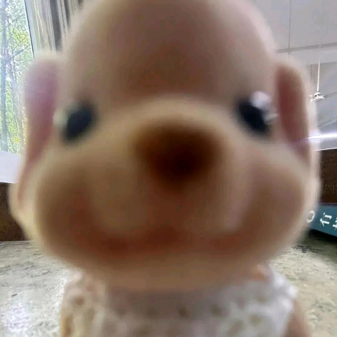 呱嗒