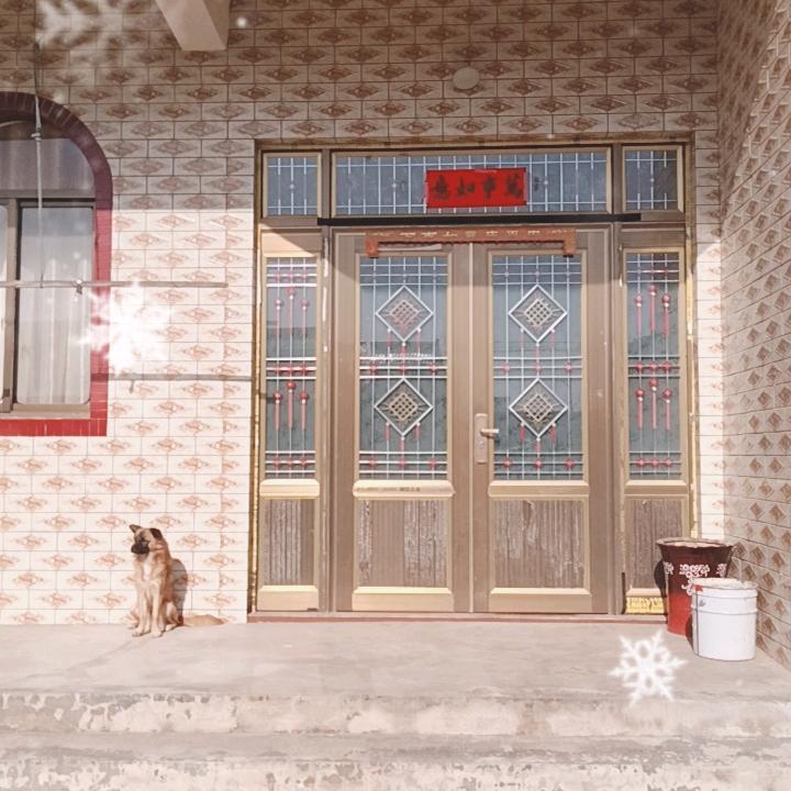 那年花开真艳时