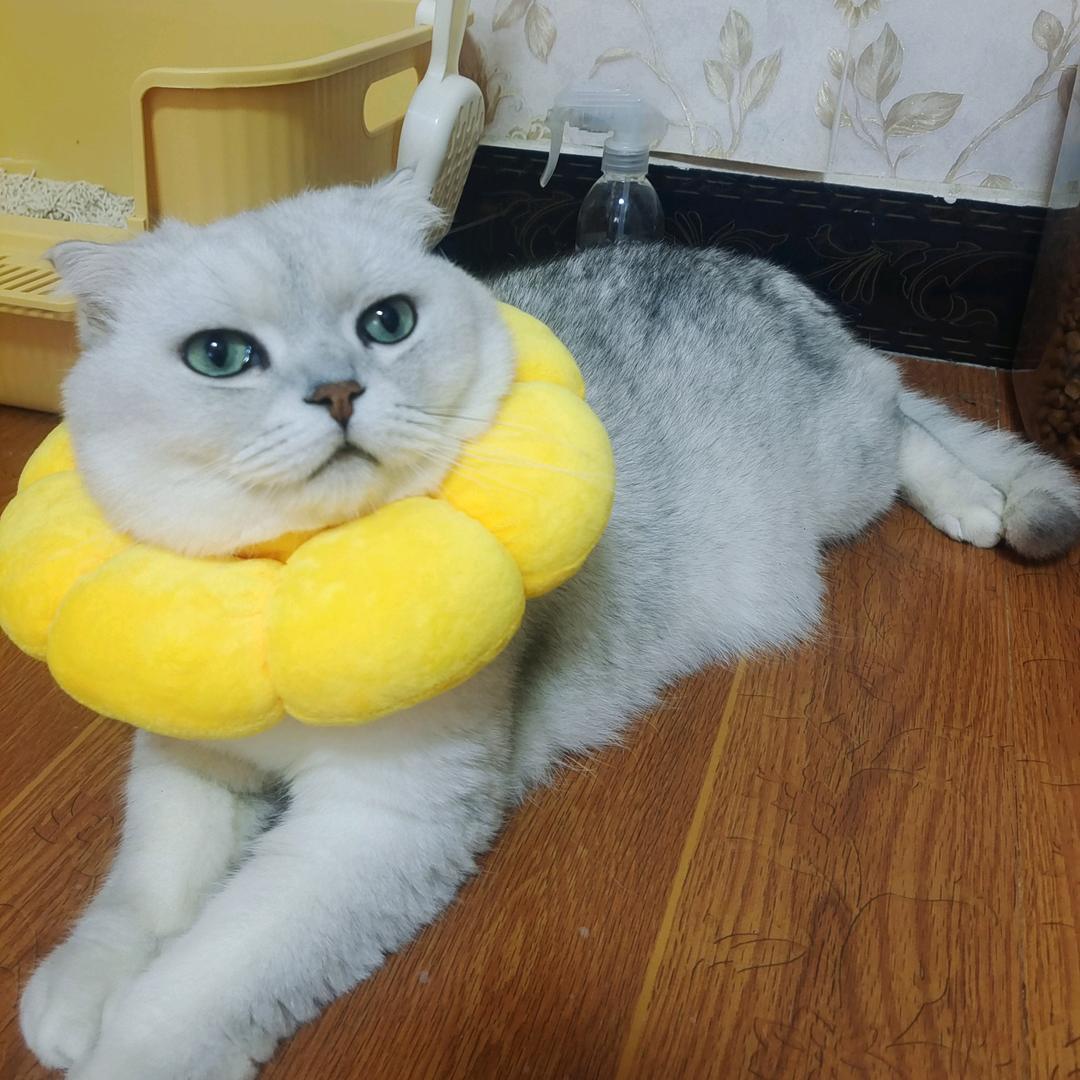 超乖的小财迷👧🏻✨