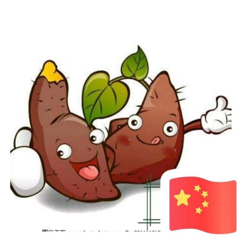海      阳