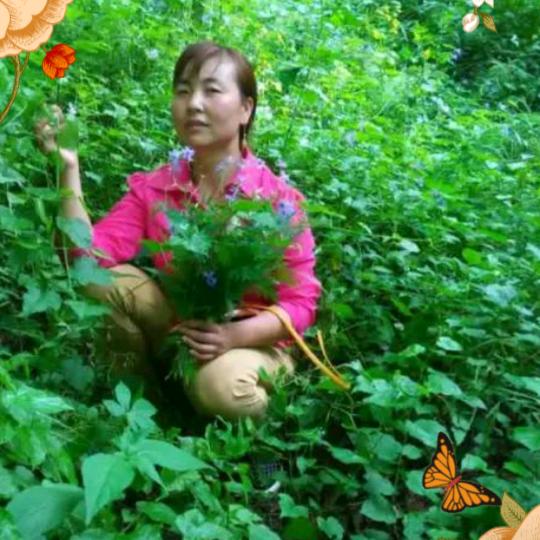 英姐爱听歌（1）