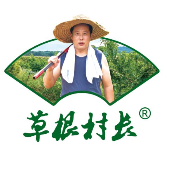草根村长