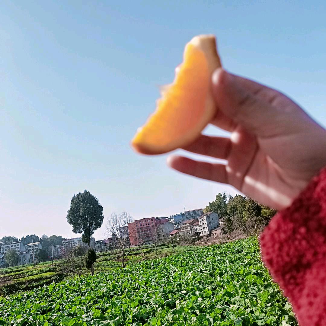 7°微醺