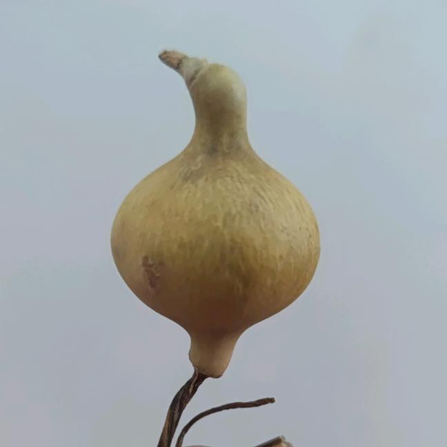 糊糊葫芦工艺